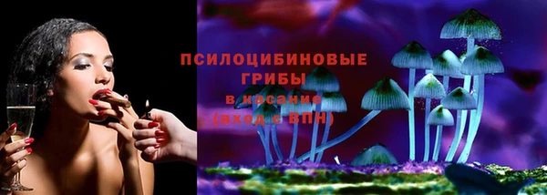 соль ск Арсеньев