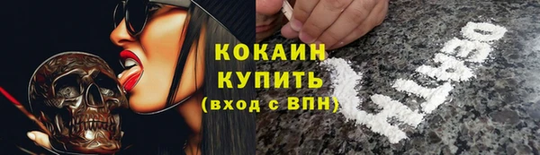 соль ск Арсеньев